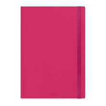 Cargar imagen en el visor de la galería, AGENDA 2026 DIARIA 12M MAXI RASPBERRY