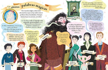 Cargar imagen en el visor de la galería, POCKET POTTERS 04 DUMBLEDORE (TD)