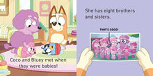 Cargar imagen en el visor de la galería, BLUEY BLUEY AND FRIENDS LITTLE LIBRARY BOX SET (BB)