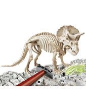 Cargar imagen en el visor de la galería, TRICERATOPS FOSFORESCENTE ARQUEOJUGANDO (55538)
