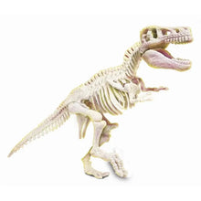 Cargar imagen en el visor de la galería, T-REX FOSFORESCENTE ARQUEOJUGANDO (55541)