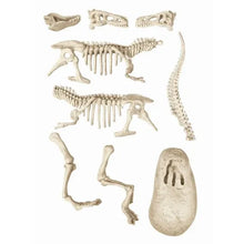 Cargar imagen en el visor de la galería, T-REX FOSFORESCENTE ARQUEOJUGANDO (55541)