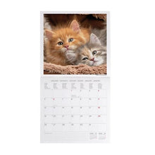 Cargar imagen en el visor de la galería, CALENDARIO 2026 DE PARED KITTENS