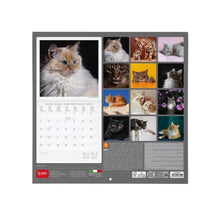 Cargar imagen en el visor de la galería, CALENDARIO 2026 DE PARED CATS