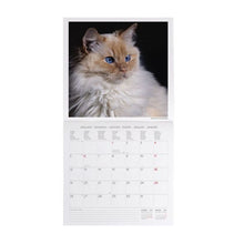 Cargar imagen en el visor de la galería, CALENDARIO 2026 DE PARED CATS