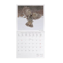 Cargar imagen en el visor de la galería, CALENDARIO 2026 DE PARED OUTSTANDING OWLS