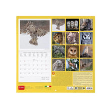 Cargar imagen en el visor de la galería, CALENDARIO 2026 DE PARED OUTSTANDING OWLS