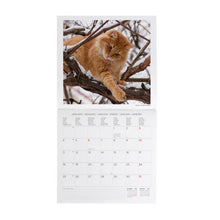 Cargar imagen en el visor de la galería, CALENDARIO DE PARED CATS 2027 (CAL270002)