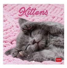 Cargar imagen en el visor de la galería, CALENDARIO DE PARED KITTENS 2027 (CAL270084)