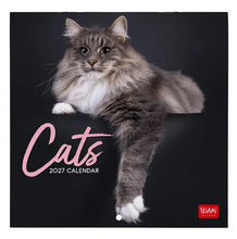 Cargar imagen en el visor de la galería, CALENDARIO DE PARED CATS 2027 (CAL270085)