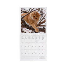Cargar imagen en el visor de la galería, CALENDARIO DE PARED CATS 2027 (CAL270085)