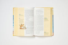 Cargar imagen en el visor de la galería, BIBLIA VISUAL DE ESTUDIO PARA NIÑOS NBLA