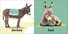 Cargar imagen en el visor de la galería, BABY TOUCH AND FEEL BIBLE ANIMALS (BB)