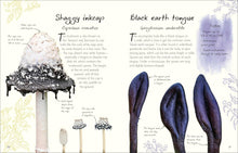 Cargar imagen en el visor de la galería, ANTHOLOGY OF FUNGI (HC)