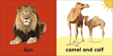 Cargar imagen en el visor de la galería, BABY TOUCH AND FEEL BIBLE ANIMALS (BB)