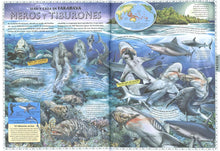 Cargar imagen en el visor de la galería, ATLAS DE LOS OCEANOS (S2127999)