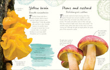 Cargar imagen en el visor de la galería, ANTHOLOGY OF FUNGI (HC)