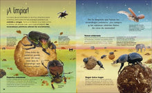 Cargar imagen en el visor de la galería, VIDA SECRETA DE LOS INSECTOS (TD)