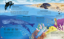 Cargar imagen en el visor de la galería, VIDA SECRETA DE LOS OCEANOS (TD)