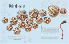 Cargar imagen en el visor de la galería, DINOSAURS AND OTHER PREHISTORIC LIFE (HC)