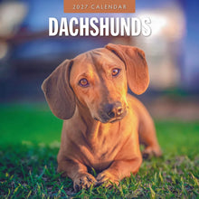 Cargar imagen en el visor de la galería, CALENDARIO DACHSHUNDS 2027 (RR271210)