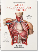 Cargar imagen en el visor de la galería, BOURGERY ATLAS OF HUMAN ANATOMY AND SURGERY