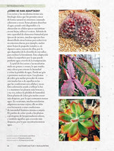 Cargar imagen en el visor de la galería, CULTIVAR CACTUS Y SUCULENTAS (TD)