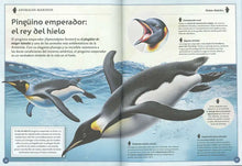 Cargar imagen en el visor de la galería, MAGNIFICO LIBRO DE LOS ANIMALES MARINOS (TD) (S2114007)