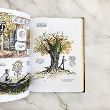 Cargar imagen en el visor de la galería, VIDA SECRETA DE LOS ARBOLES (NOVELA GRAFICA) (TD)