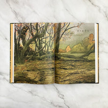 Cargar imagen en el visor de la galería, VIDA SECRETA DE LOS ARBOLES (NOVELA GRAFICA) (TD)