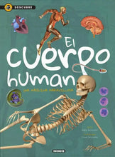 Cargar imagen en el visor de la galería, CUERPO HUMANO (S3314001)