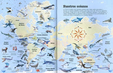 Cargar imagen en el visor de la galería, 500 PREGUNTAS Y RESPUESTAS SOBRE ANIMALES MARINOS (S0142006)