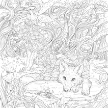Cargar imagen en el visor de la galería, MYTHOGRAPHIC COLOR AND DISCOVER FANTASY FOREST