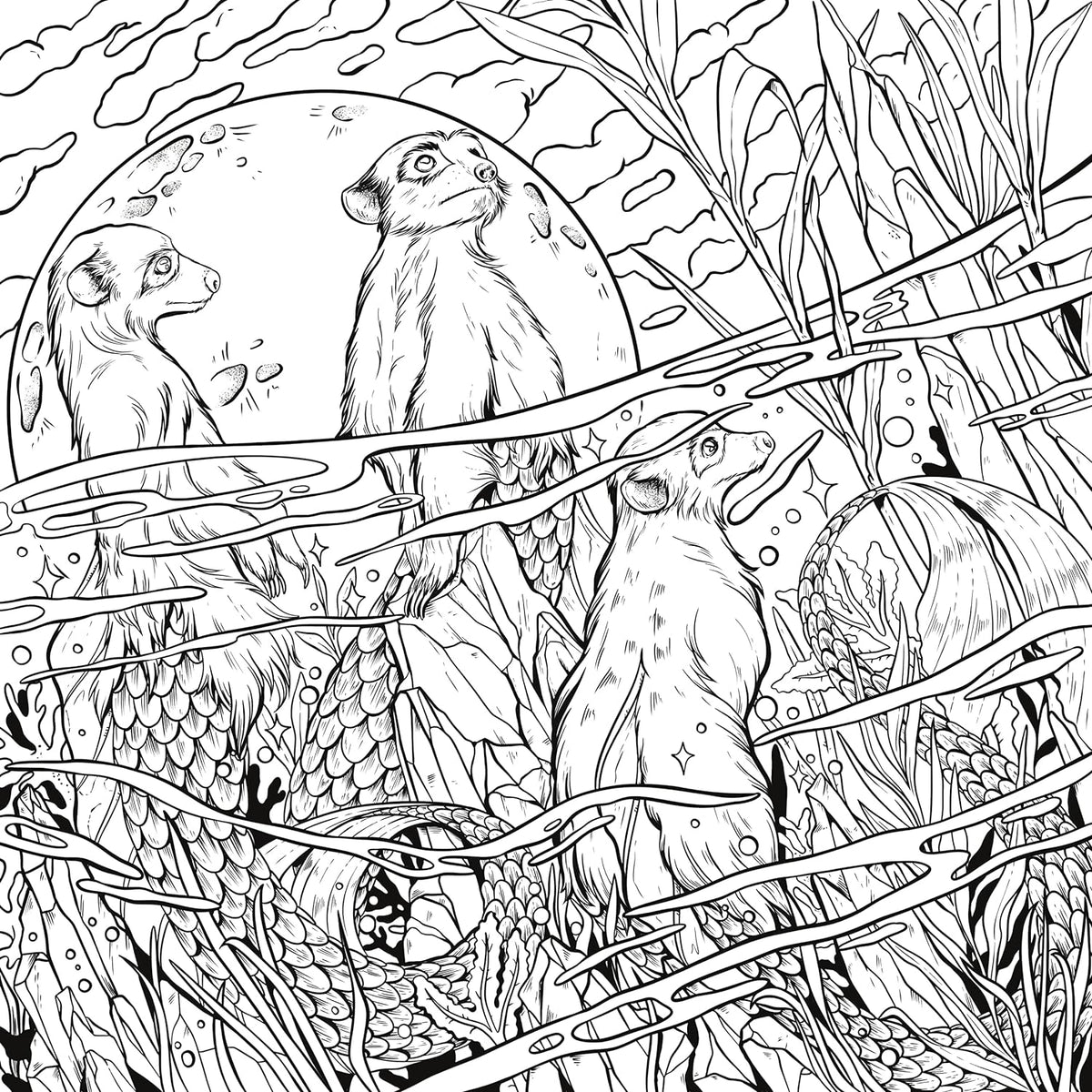 MYTHOGRAPHIC COLOR AND DISCOVER MENAGERIE – Internacional Libros . Regalos