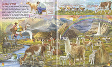 Cargar imagen en el visor de la galería, BUSCA EN EL MUNDO DE LAS LLAMAS (TD) (S0070041)