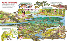 Cargar imagen en el visor de la galería, BUSCA LOS ANIMALES ACUATICOS (S0070007)