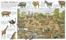 Cargar imagen en el visor de la galería, BUSCA LOS ANIMALES DE LA SELVA (TD) (S0070003)