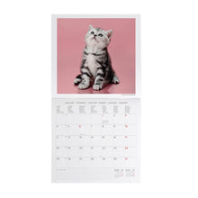 Cargar imagen en el visor de la galería, CALENDARIO DE PARED KITTENS 2027 (CAL270001)
