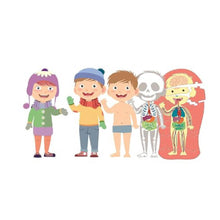 Cargar imagen en el visor de la galería, EL CUERPO HUMANO