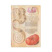 Cargar imagen en el visor de la galería, LILY & TOMATO (FB9348-0)