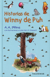 HISTORIAS DE WINNY DE PUH