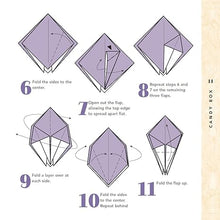 Cargar imagen en el visor de la galería, COMPLETE ORIGAMI KIT
