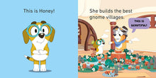 Cargar imagen en el visor de la galería, BLUEY BLUEY AND FRIENDS LITTLE LIBRARY BOX SET (BB)
