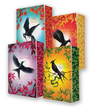 Cargar imagen en el visor de la galería, HUNGER GAMES STENCILED EDITION BOX SET (4 BOOKS)
