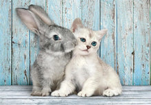 Cargar imagen en el visor de la galería, ROMPECABEZAS CAT AND BUNNY COMPACT 500 PCS (35539)
