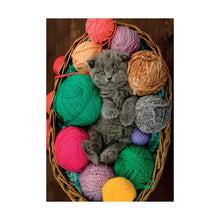 Cargar imagen en el visor de la galería, ROMPECABEZAS FLUFFY KITTEN COMPACT 500 PCS (35617)
