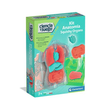 Cargar imagen en el visor de la galería, KIT ANATOMIA SQUISHY ORGANS MINI (55577)

