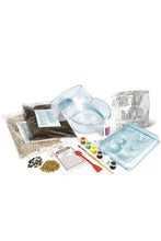 Cargar imagen en el visor de la galería, TERRARIUM HARRY POTTER (81141)
