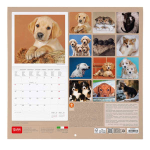 CALENDAR WALL PUPPIES 2025 (CAL250001)