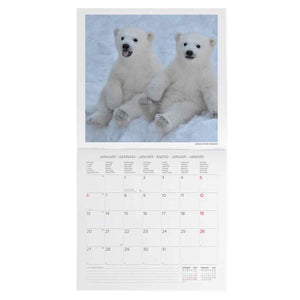 CALENDARIO DE PARED BABY ANIMALS 2025 (CAL250008)